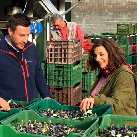 The World’s Most Famous Olive