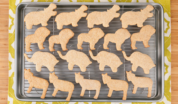 in the kitchen with stefano faita stefano's animal crackers displayed on a baking rack