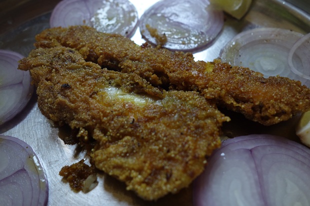 Bombay Duck