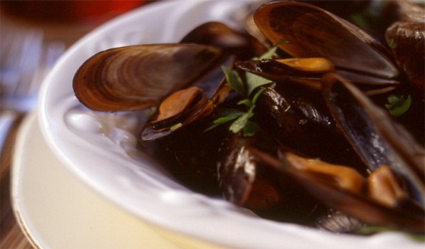 Mussels alla “My Way”