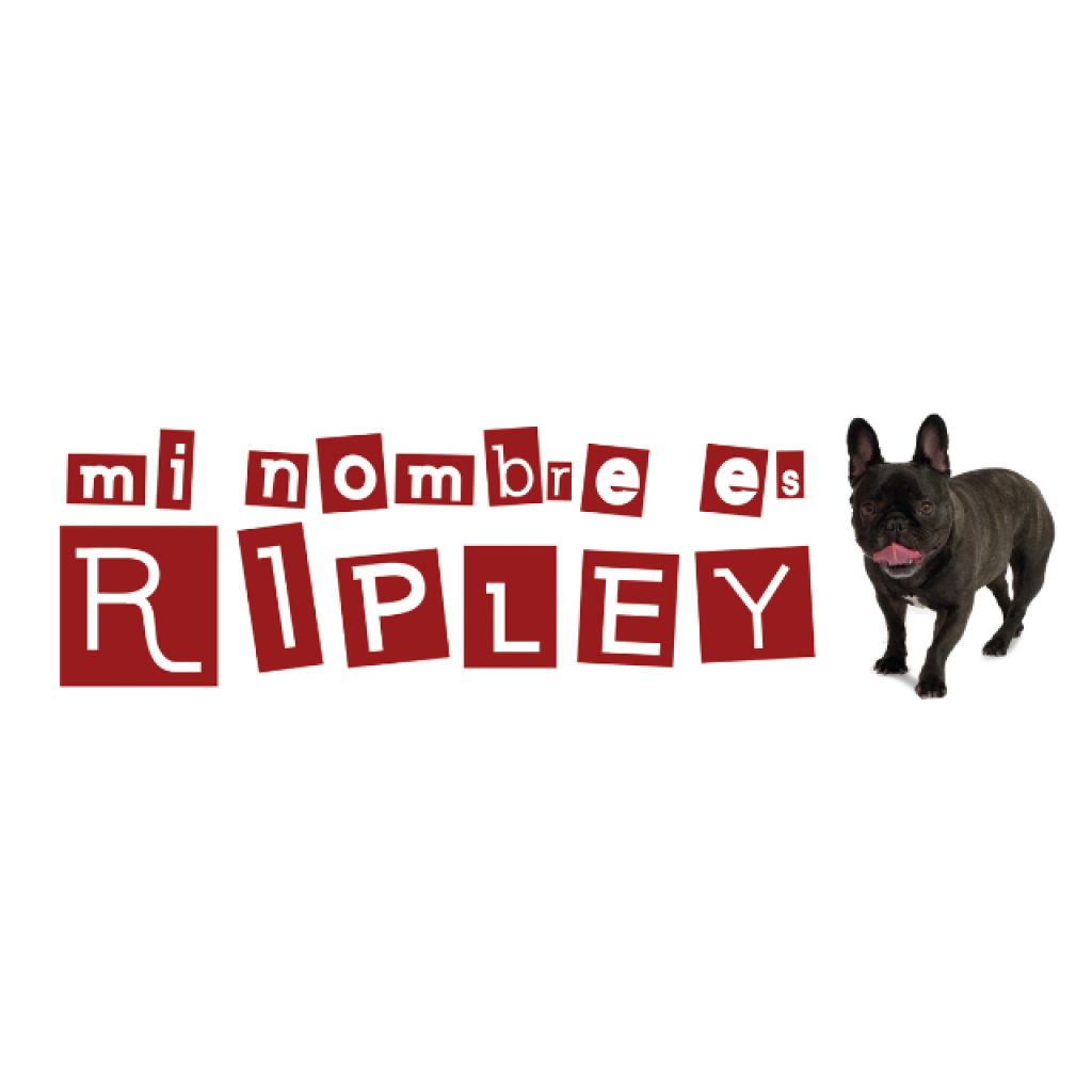 TLN Media Group Launches Original Children’s Spanish Language Learning Series 'Mi Nombre Es Ripley'