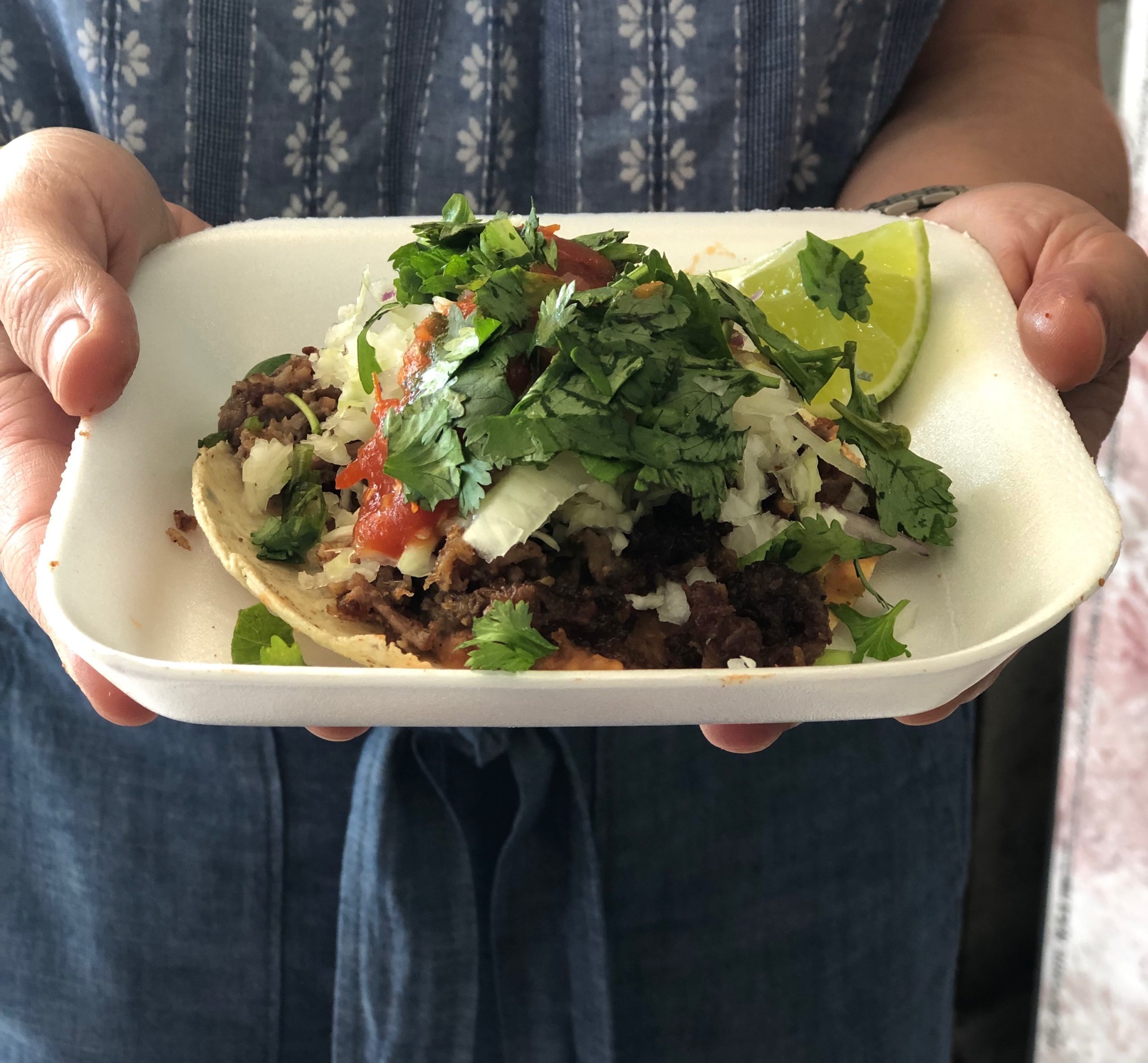 804-LosMochis-Tacos-Don-Chuy-closeup-of-tacos